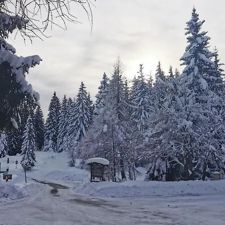 Lejlighed Gemuetliches - Kanzelhoehe - Gerlitzen